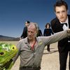 Werner Herzog Will Direct The Killers' Bronx Webcast, Animals May Be Involved